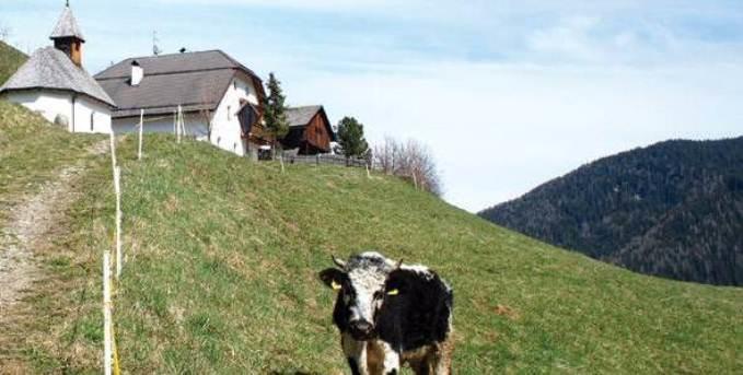 Berggasthof Trattes Olang Dış mekan fotoğraf