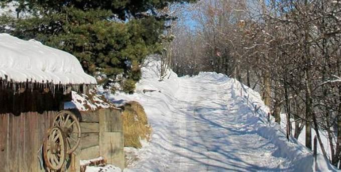 Berggasthof Trattes Olang Dış mekan fotoğraf